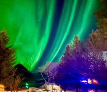 Senjahopen House | Linda`s house