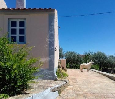 Envendos House | Linhal das Meias - São José das Matas