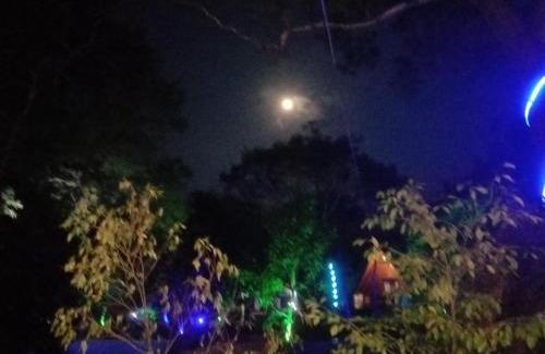 Sigiriya Hotel | Lion King Jungle Cabanas