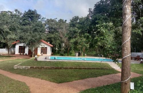 Sigiriya Hotel | Lion King Jungle Cabanas