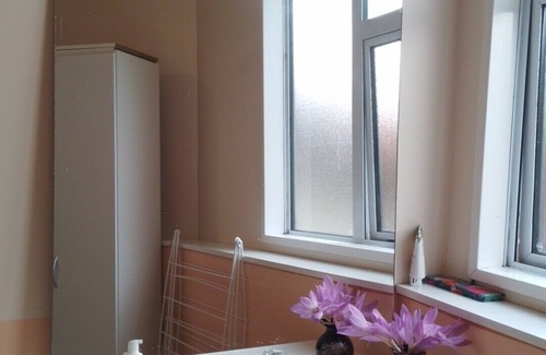 Dunedin Apartment | Lioness Estate and B&B - Dunedin