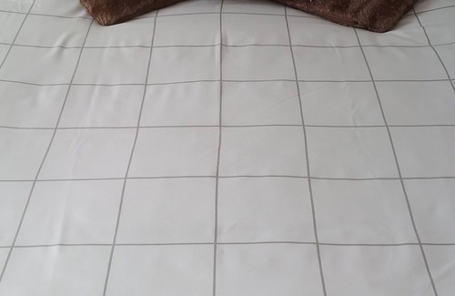 Dunedin Apartment | Lioness Estate and B&B - Dunedin