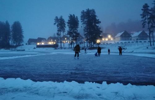 Lojzova Paseka House | Lipno-Lake