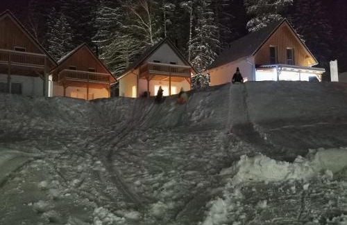 Lojzova Paseka House | Lipno-Lake