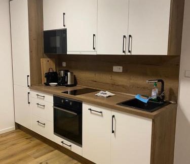 Lojzova Paseka House | Lipno Village House