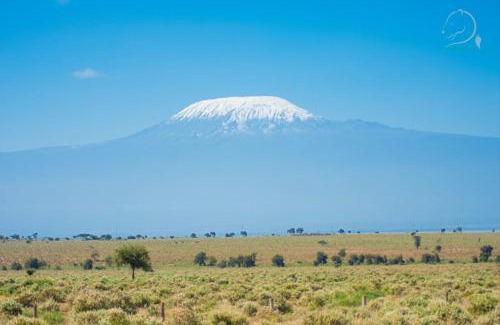 Amboseli Other | Little Amanya Camp Amboseli