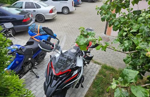 Klaipeda House | Little Amber Apartments