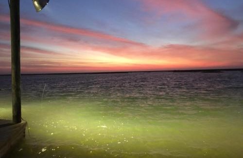 Slidell House | Little Blue Crab Quaint Slidell Home Near Lakes