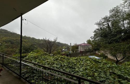 Mirzaani House | Little Donkey