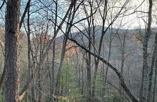 Wears Valley House | Little Pine Lodge a Smokies Hideaway - 1 mi to GSMNP - King Suite & Loft, Fireplace, Hot Tub & BEARS!