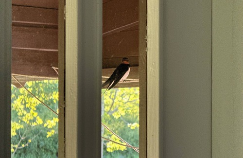 Skovde Municipality Cabin | Live in a scenic location, close to hiking trails or cozy cafés