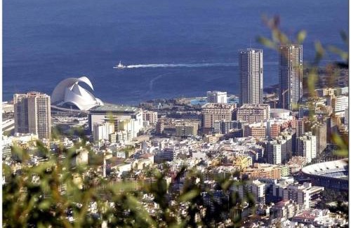 Santa Cruz de Tenerife Apartment | Live Santa Cruz Venezuela