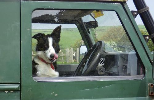 Carnhedryn Bed & Breakfast | Llety Farm