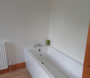 Tregaron Hotel | llew coch