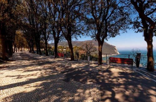 Sirolo Apartment | Lo Speziale - Ginepro