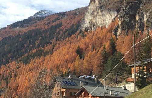 Isolaccia Apartment | Loa 43A