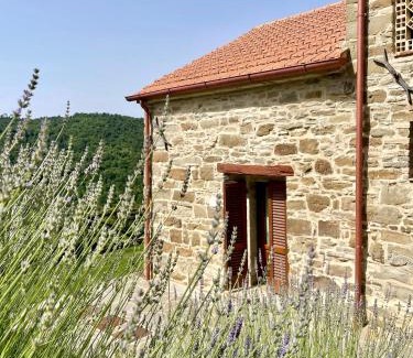 Anghiari Apartment | Locanda del Viandante - Valle Apartments & Pool