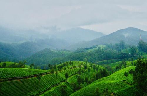 Devikolam House | Lockhart Bungalow Munnar - A CGH Earth SAHA Experience