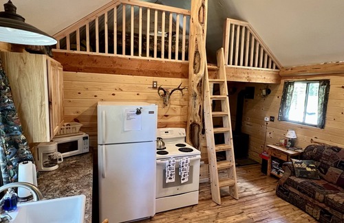 Island Park Cabin | Loft cabin nestled in the woods with two acres to yourself.