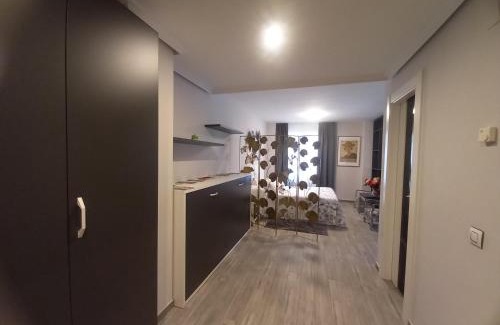 Carrion de los Condes Apartment | Loft Carrión