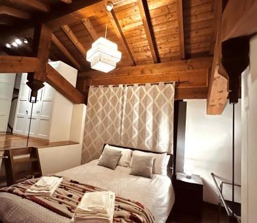 Cremona Apartment | LOFT DEI LUPI Elegante appartamento a 260 m dal Duomo free parking