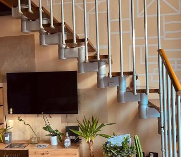 Cremona Apartment | LOFT DEI LUPI Elegante appartamento a 260 m dal Duomo free parking