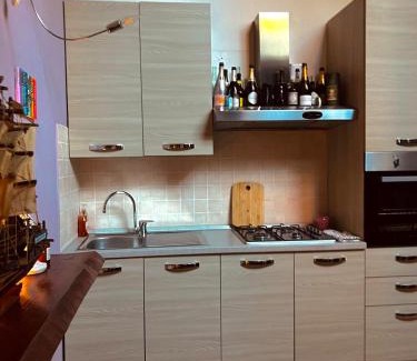 Cremona Apartment | LOFT DEI LUPI Elegante appartamento a 260 m dal Duomo free parking