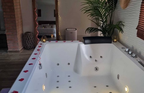Saint-Leu-la-Foret House | Loft jacuzzi private garden Netflix Wifi 20 minutes from Paris Val d'Oise