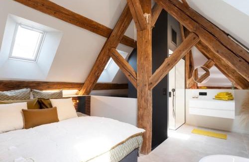 Nancy City Centre Apartment | Loft moderne au charme ancien, climatisé, près de la Place Stanislas - FR-1-584-352