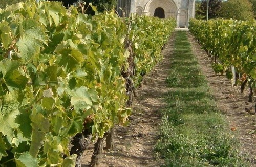Villars-en-Pons House | Loft, visits and family vineyard tastings