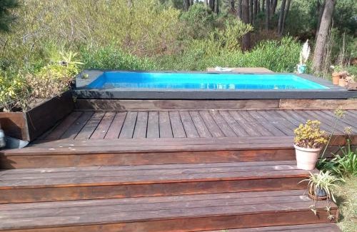 Chihuahua House | Loftdelbosque