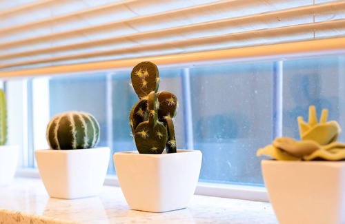 Alki Apartment | Loftium | Cozy & Chic Guest Suite - steps from Alki Beach!