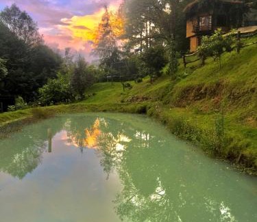 Valle de Bravo Cabin | Lofts in The Forest