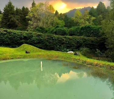 Valle de Bravo Cabin | Lofts in The Forest