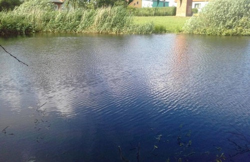 Schonwalde House | Log cabin with its own lake