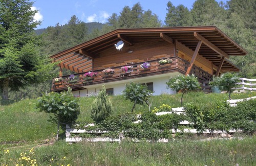 Trins House | Log house with plenty of space for children, pets welcome Haflinger horses