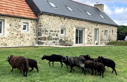 Plouec-du-Trieux House | Longere avec Menhirs et Moutons Ouessant