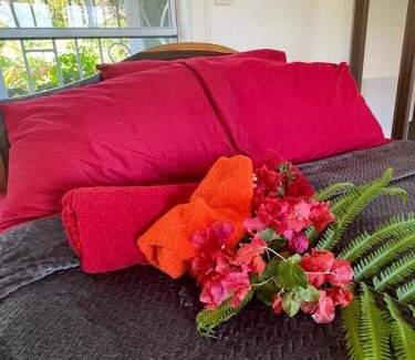 St. George's Apartment | Lovely 1-bedroom wooden cabin in garden
