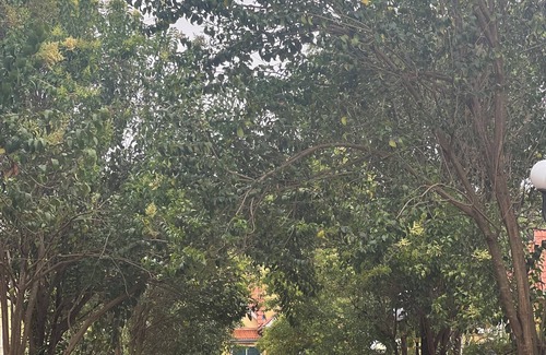 Nairobi Upper Hill House | Lovely 4-bedroom Business Friendly house in Nairobi