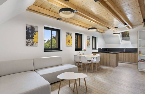 Janov nad Nisou Apartment | Lovely apartment for 6 guests with WIFI, TV and terrace