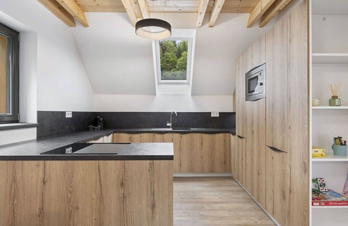 Janov nad Nisou Apartment | Lovely apartment for 6 guests with WIFI, TV and terrace