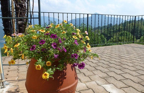 Carona Apartment | Lovely apartment for 3 people with WIFI, TV, patio, pets allowed and panoramic view