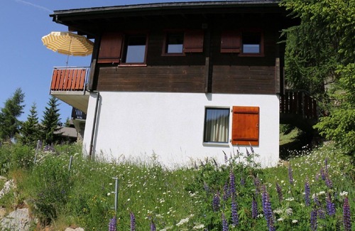Bettmeralp Apartment | Lovely apartment for 6 guests with WIFI, TV and balcony