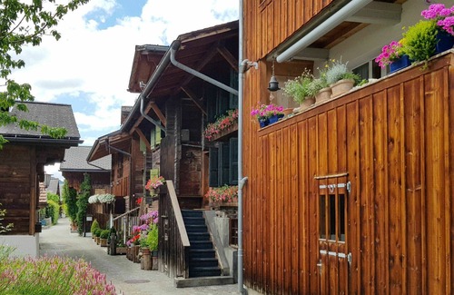 Saanen Apartment | Lovely apartment for 8 guests with WIFI, TV and terrace