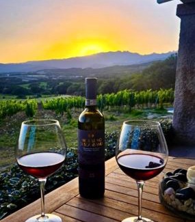 Monti Apartment | Lovely Country House Tenuta Piredu