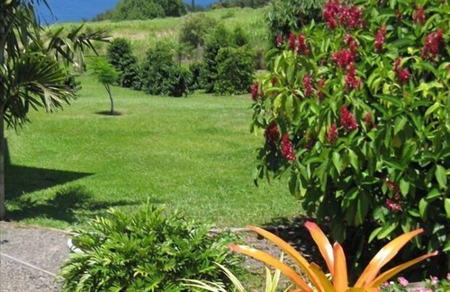 Ninole Apartment | Lovely garden cottage, Hamakua waterfall district, 100% solar