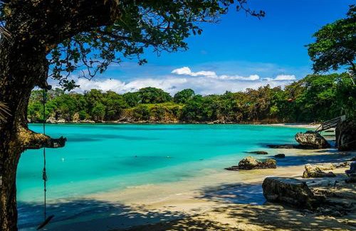 Port Antonio Cabin | Lovely Garden Veiw with Queen Seize Bed in Portland