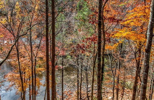 Townsend Cabin | Lovely riverfront home w/water views from balcony, WiFi, firepit, gas fireplace