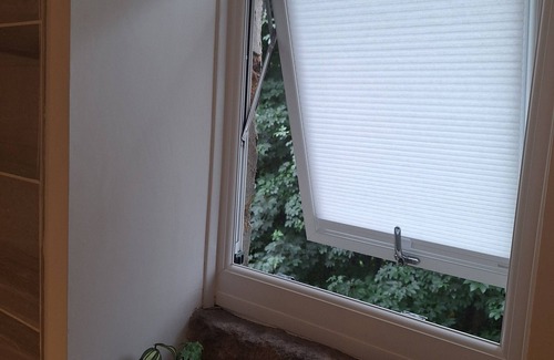 Ingrow Cottage | Lovely Two Bedroom Cottage w/Garden Patio - Free Parking - Pets Welcome