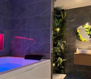Jujurieux Apartment | Loving room cocooning avec jacuzzi « la terre »